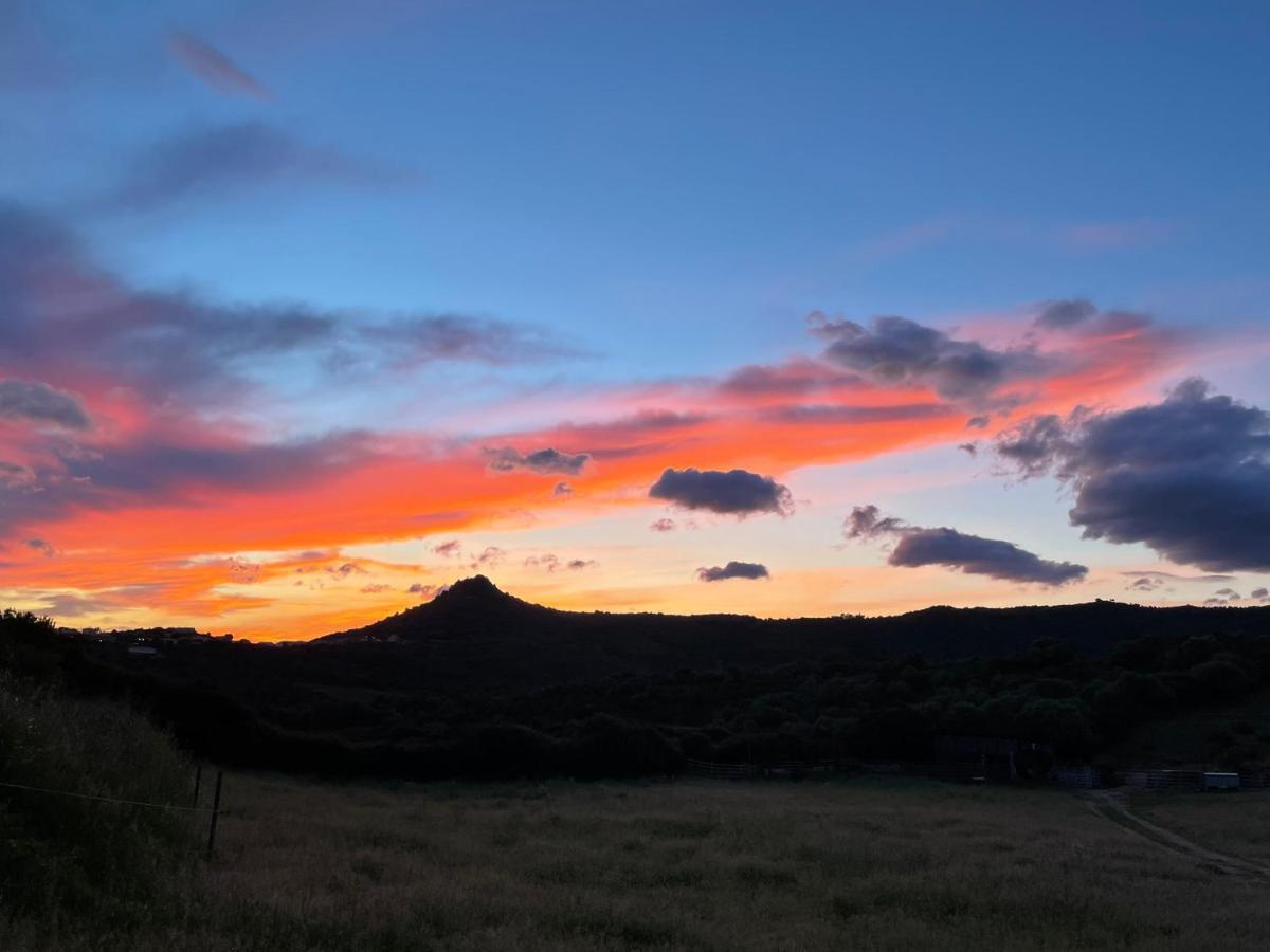 Nuit Calme Sur Domaine Calcatoggio (Corsica)