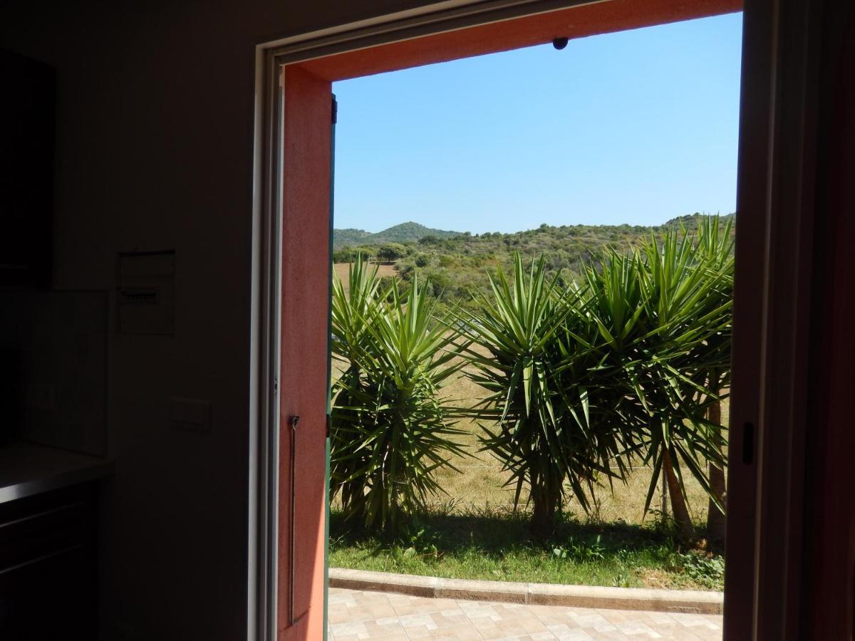 Apartment Nuit Calme Sur Domaine Calcatoggio (Corsica)