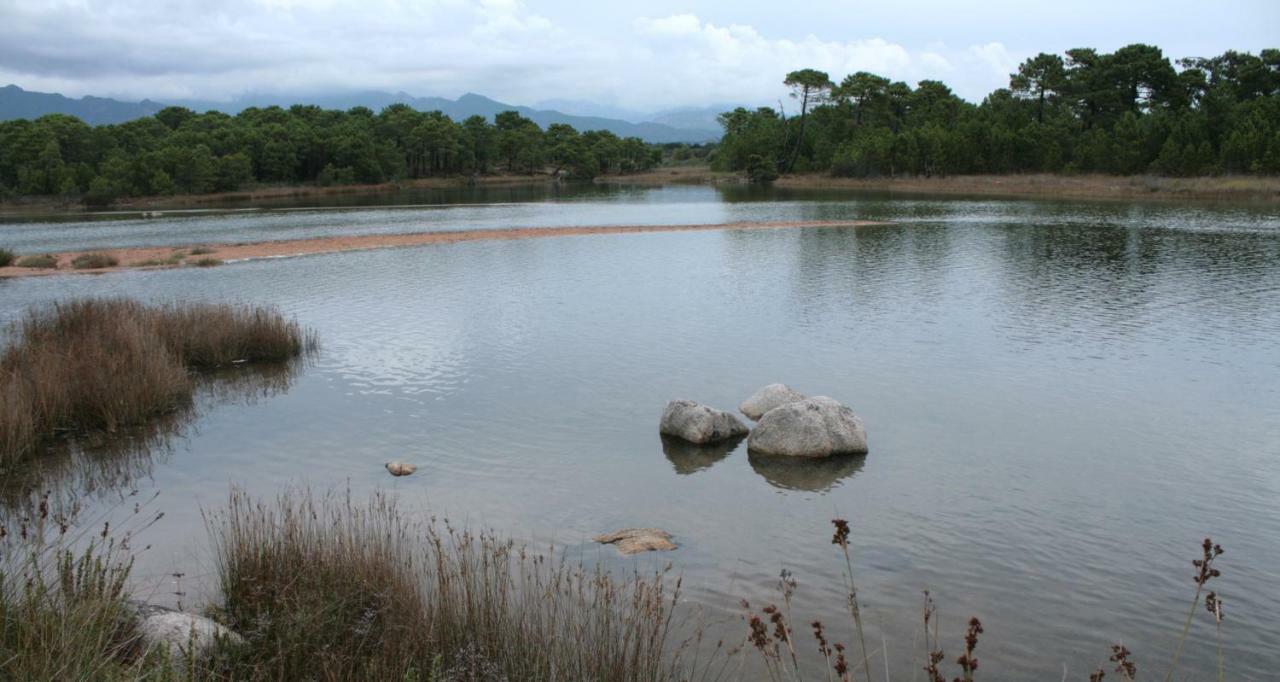 Nuit Calme Sur Domaine * Calcatoggio (Corsica)