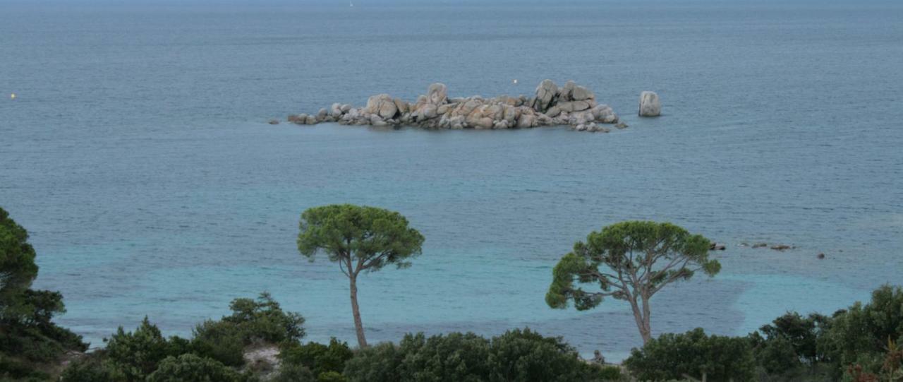 Nuit Calme Sur Domaine Calcatoggio (Corsica)