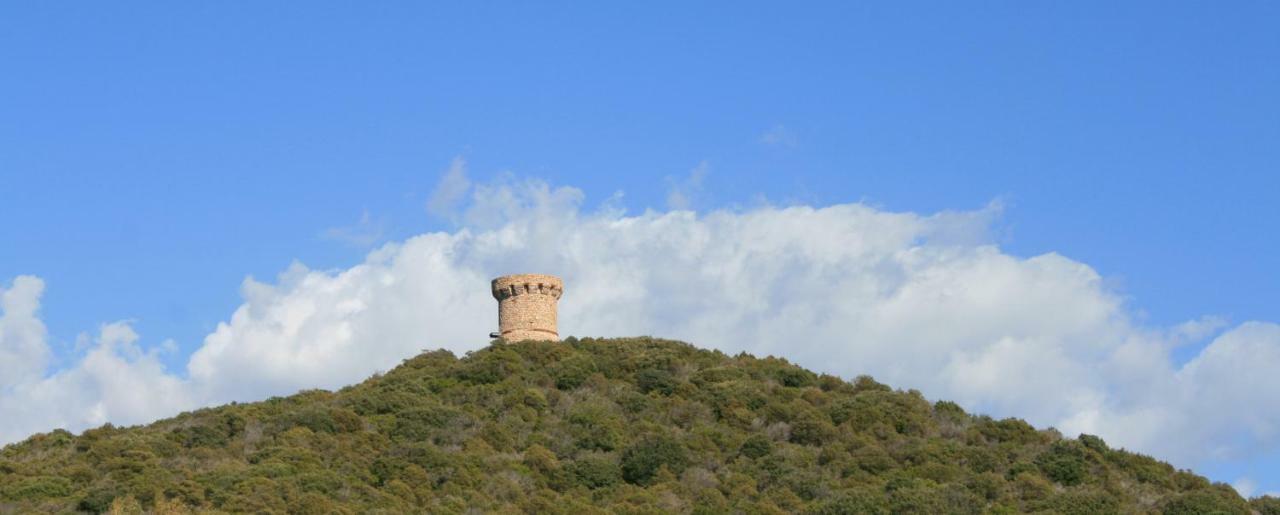 Nuit Calme Sur Domaine * Calcatoggio (Corsica)